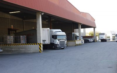 Profesionales de Gestión de Proyectos en logística